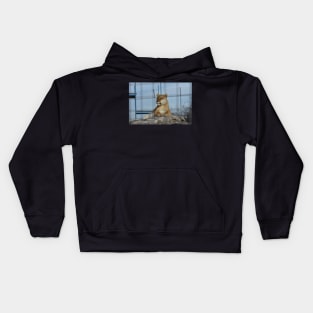 Liger Kids Hoodie